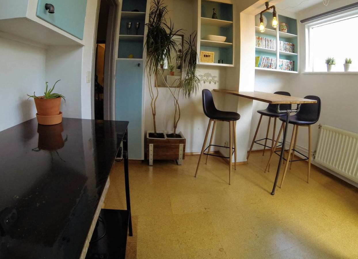 Skjolbraut - Cozy Apartment - Central Location - Free Parking - Close To A Public Swimming Pool And Sky Lagoon Reykjavík Exteriör bild